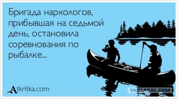 Смешные картинки из инета