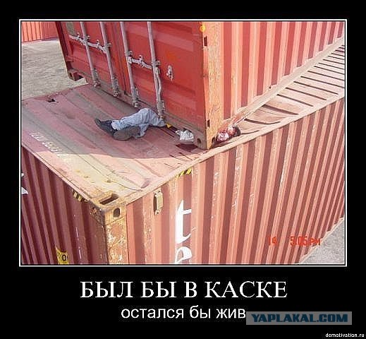 Пристегнулся бы - выжил