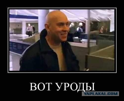 За что не любят хрустов?