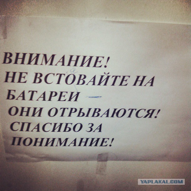 Жемчужина Казахстана! Almaty Tapok Edition