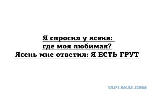 Смешные картинки из соц. сетей.