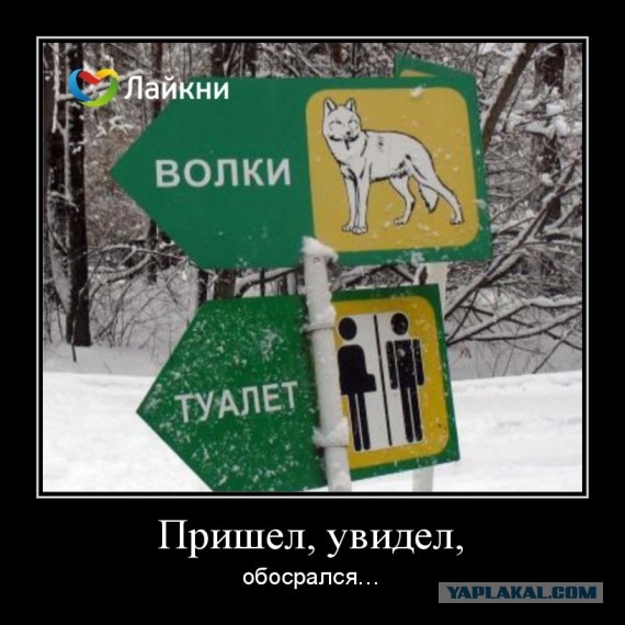 Демотиваторы.