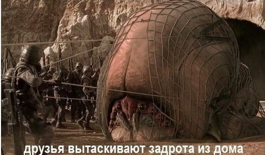 Свежие картинки из сети