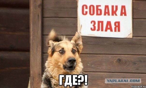 Моя подборка веселенькой мути
