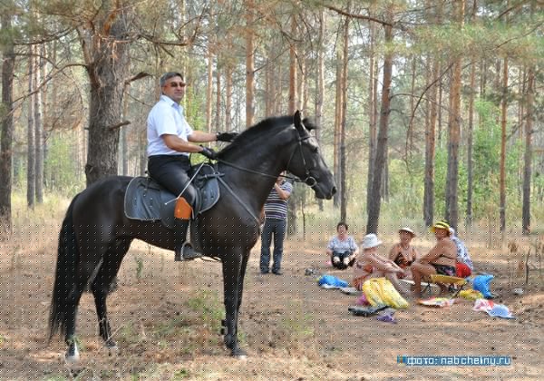 Сравните