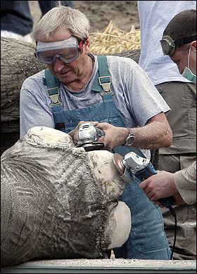 К дембелю готов