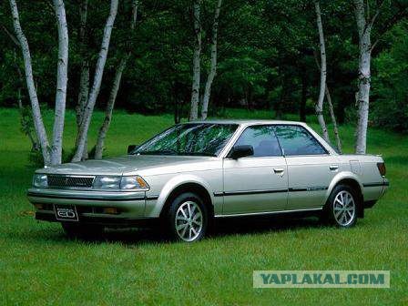 Знает, что советует