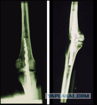 В Египте открыли некрополь Серапеум