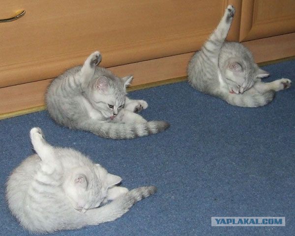 Проверить законность выхода Прибалтики из СССР