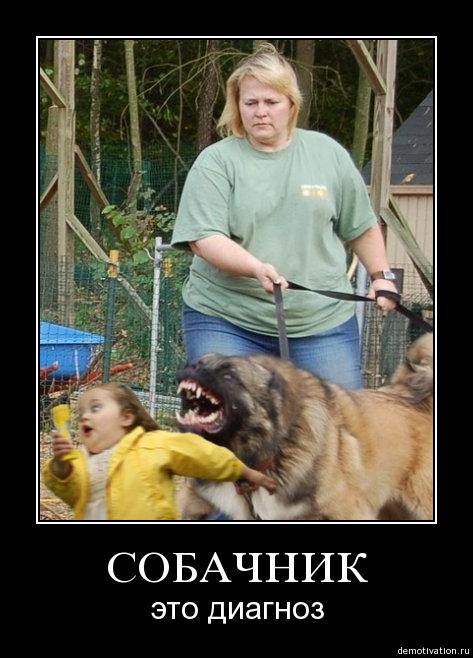 Расстрел собак в магазине