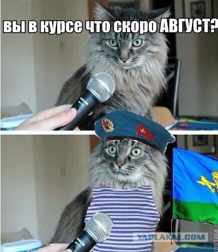 1 августа -  День Домашних Диванных Войск!
