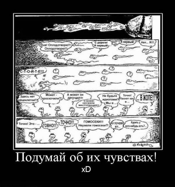 Прикольные картинки и демотиваторы