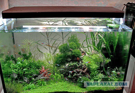 Страну переводят на светодиодное освещение