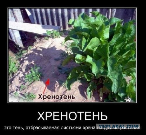 Новые трудовыебудни