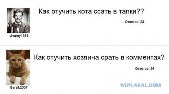 Картинки и демотиваторы