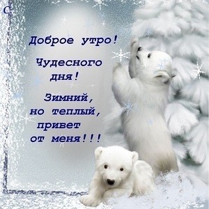 Лёха, вставай!