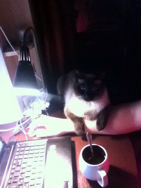 Как я на работе бастовала