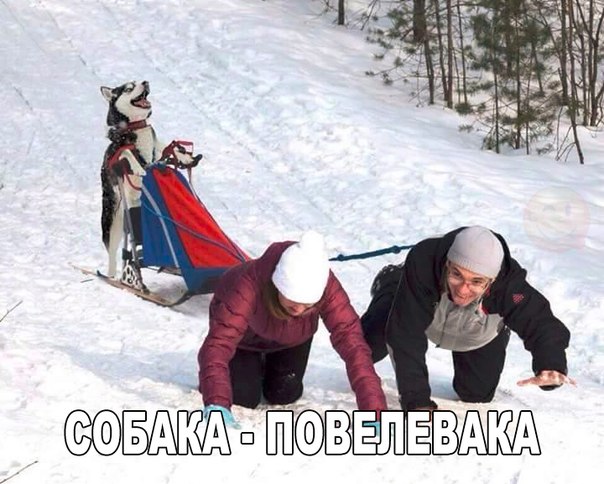 А давайте улыбнёмся В Новом Году