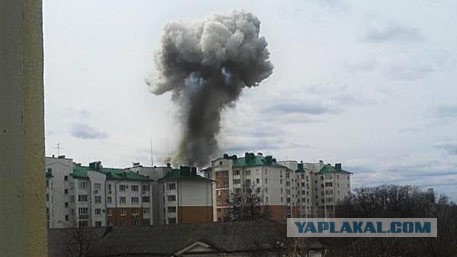 Птицы, сраженные...мячом во время матча