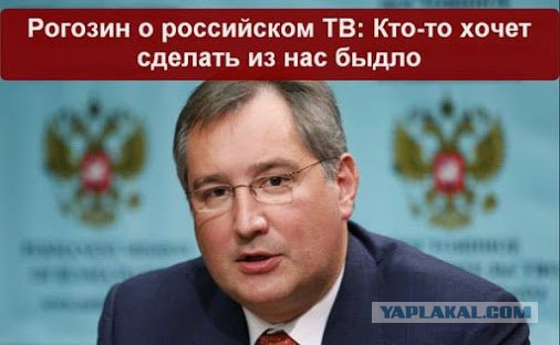 Весёлые картинки