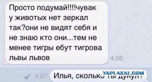 Картинки, СМСки из вашего тырнета