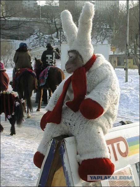 Веселые картинки ч.2