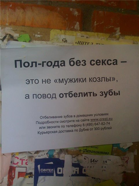 Ужасы и приколы из жизни