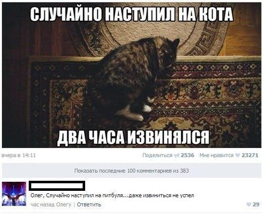 Ужасы и приколы из соцсетей 18+