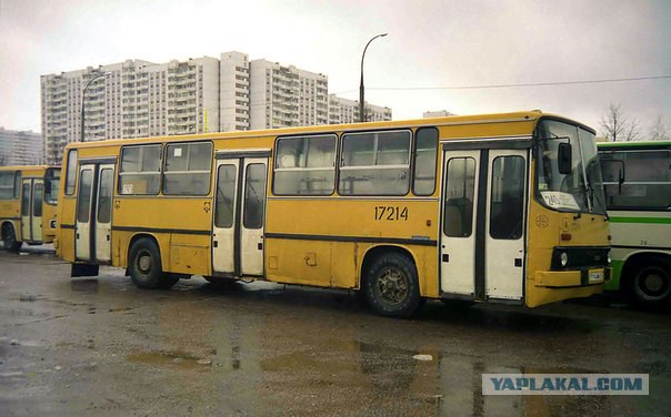 Икарус 260