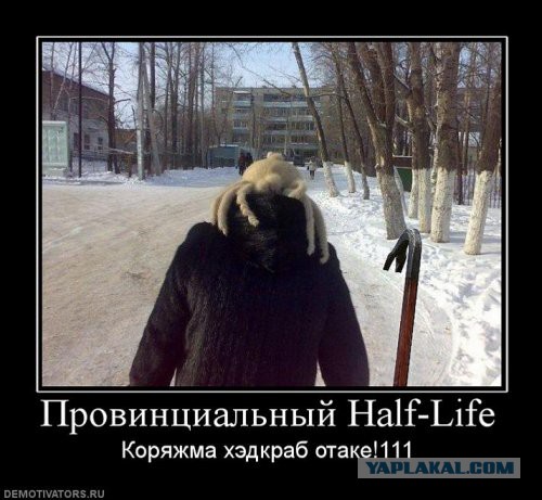 Half-Life 2 в нашей реальности. Фотоманипуляции