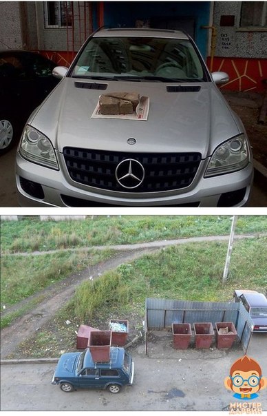 Забавные картинки из сети