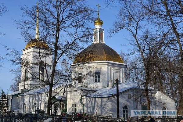 "У врачей опустились руки, а медсестры сбежали из больниц..."