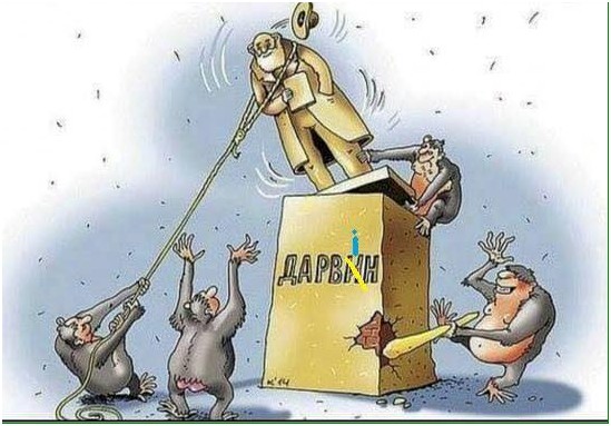 В мире животных 404