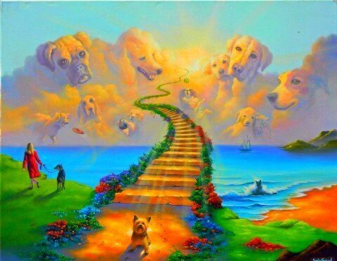 Я жду тебя за Радугой