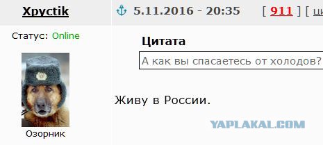 Житель Днепропетровска придумал как согреться