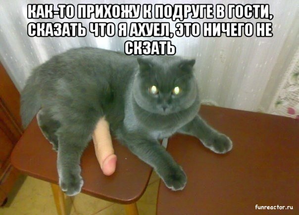Всячина. Картинки