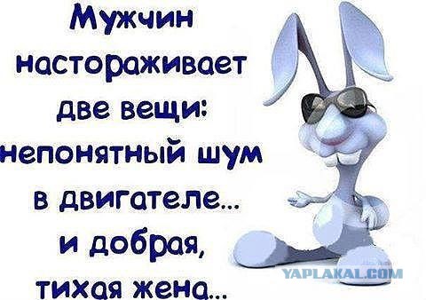Жена изменяет? Или нет?