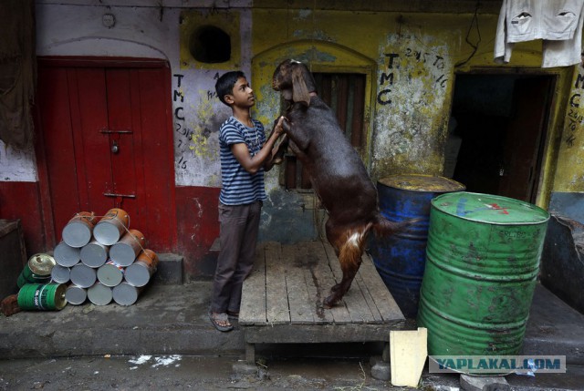 Подборка интересных и веселых картинок