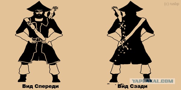 Попугаи совсем страх потеряли!