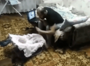 Отец притворяется, что шлепает ребенка, чтобы проверить реакцию котейки