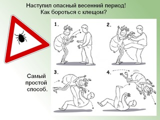 Как спастись от клещей? Предупрежден — значит вооружен