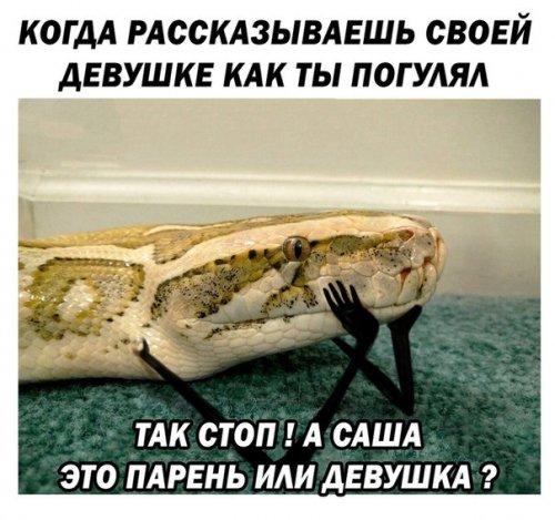 Подборка интересных и веселых картинок