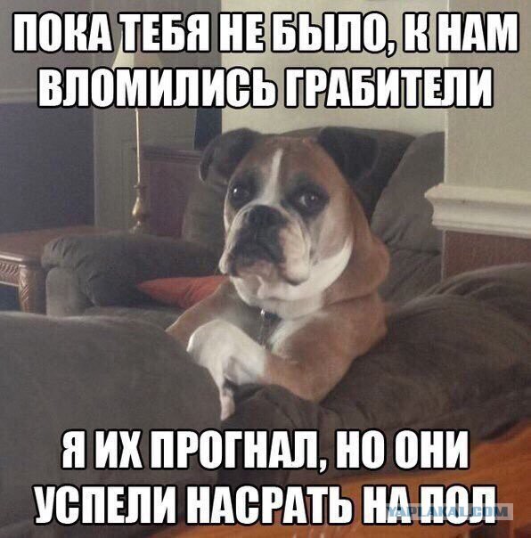 Всякое нехорошее случается