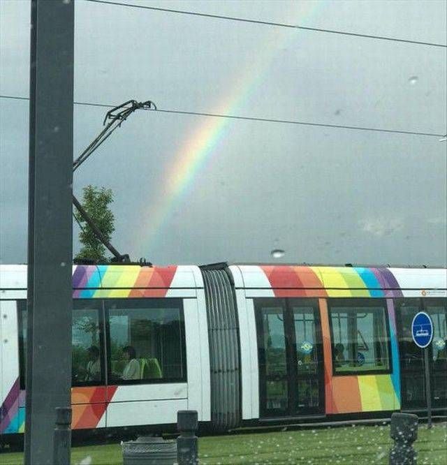 Забавных картинок не хотите ли?