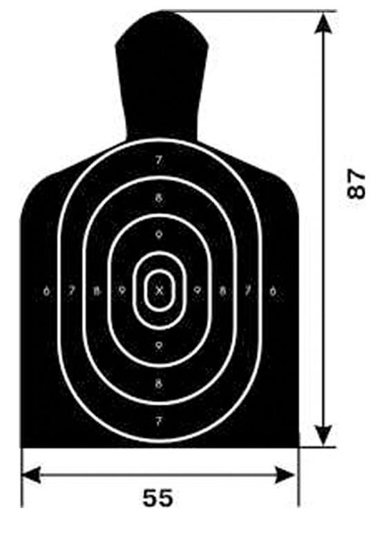 Мишени фигуры. Мишень №1 поясная фигура 550х870 мм.. Мишень поясная 14с. Мишень 1г Интерпол. Мишень 1г поясная фигура.