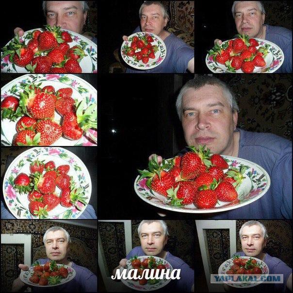 Краткий вестник асоциальных сетей