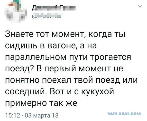 Забавные комментарии из социальных сетей
