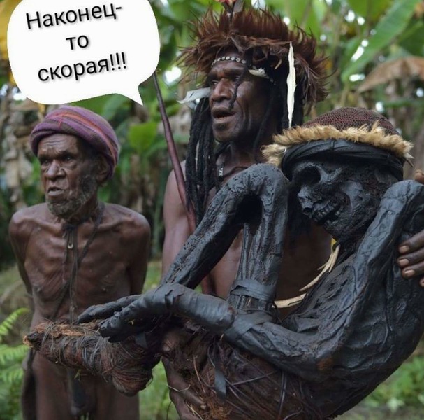 Подборка интересных и веселых картинок