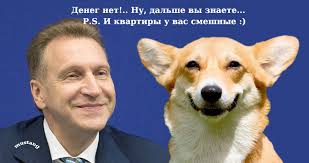 У Игоря Шувалова нашли новый самолет. Не тот, на котором возят корги