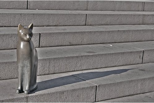 Увековеченные кошки (39 фот)